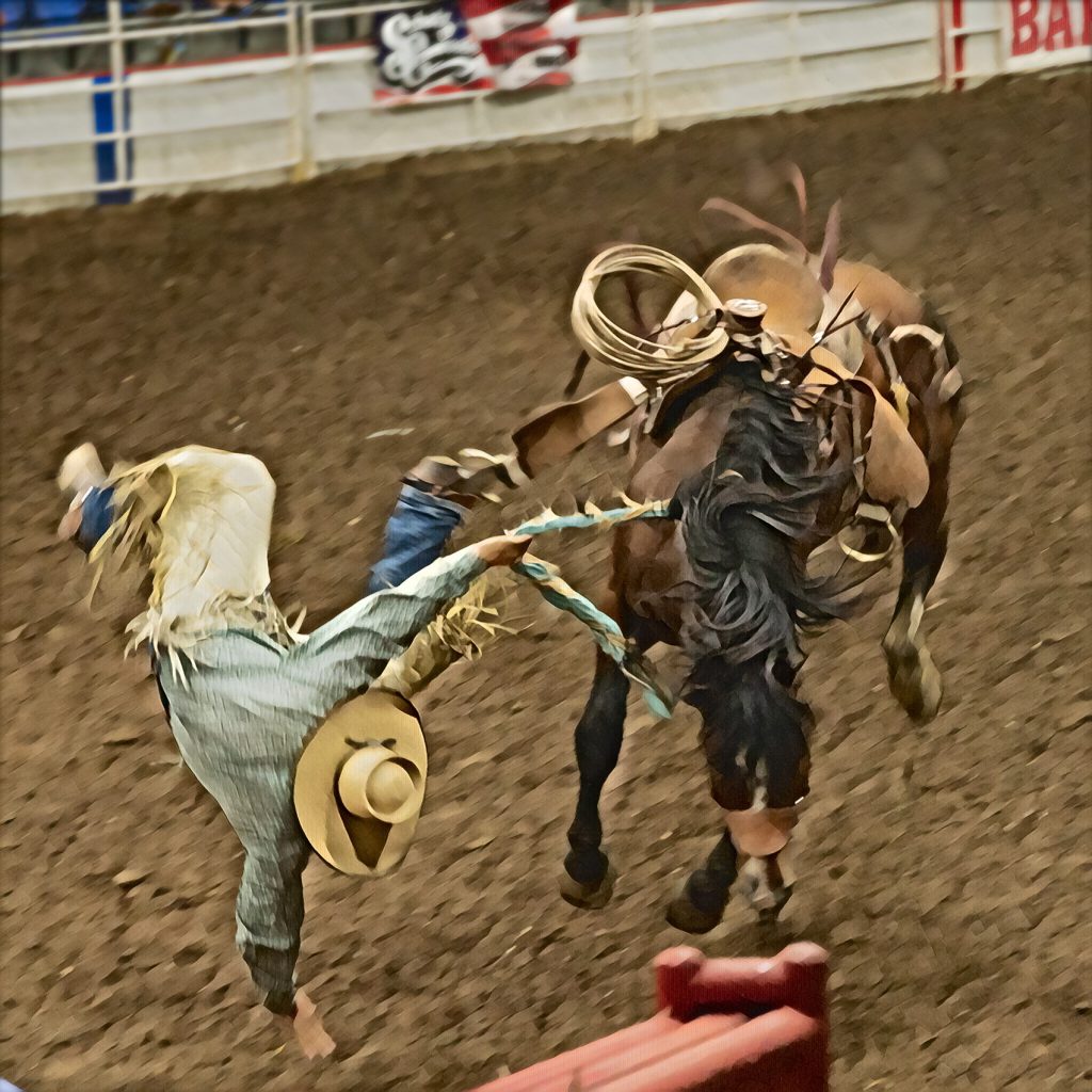 Rider of Bronc getting ejected from the saddle
