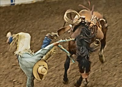 Rider of Bronc getting ejected from the saddle