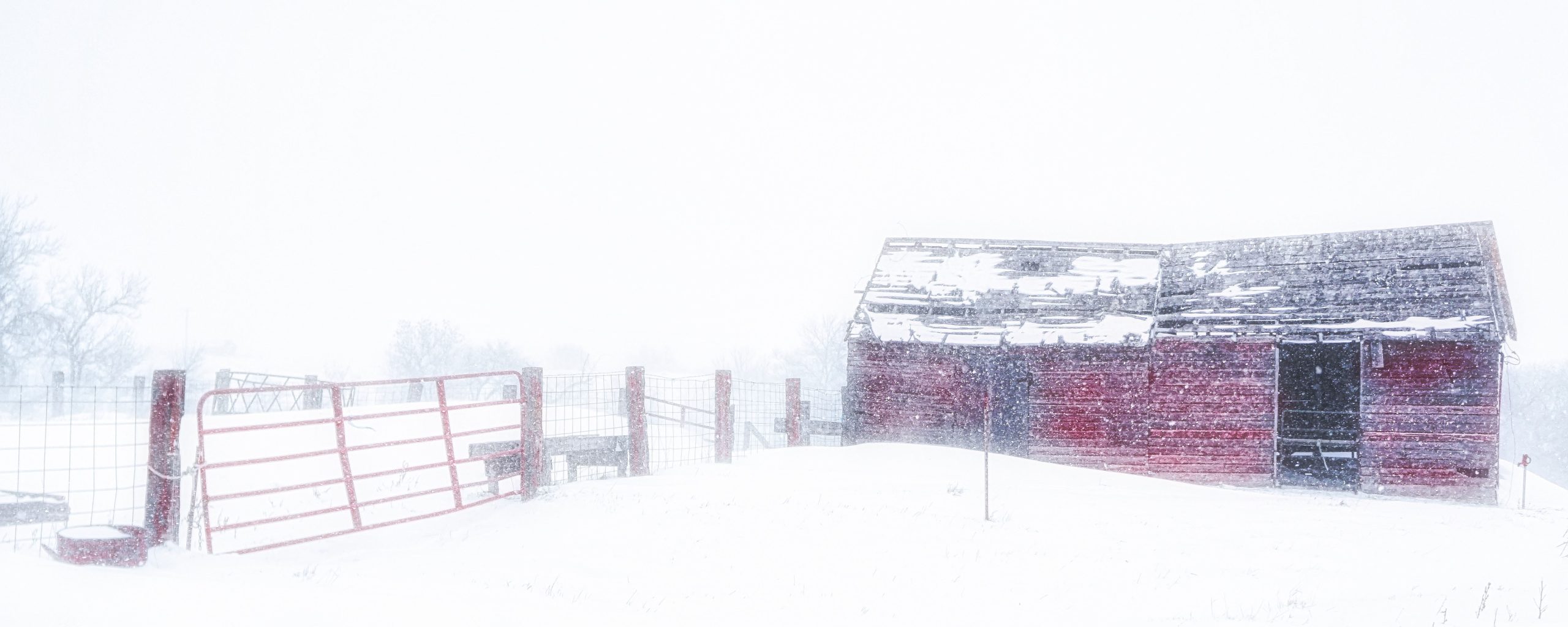 Red Barn of Winter
