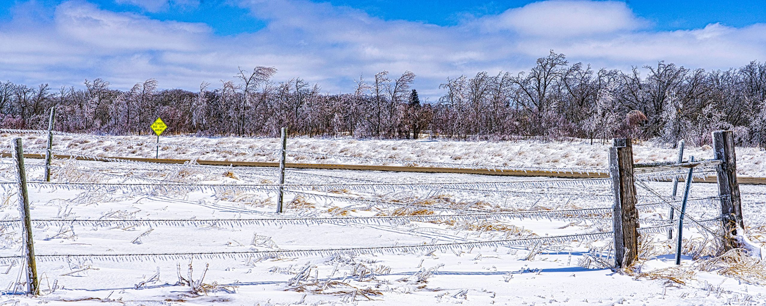Fence line frozen