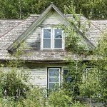 Overgrown Farmhouse abandoned